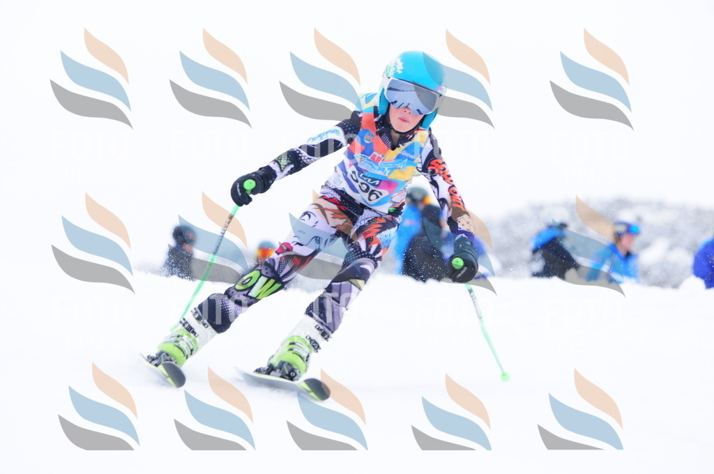 C4196 | holidayphoto