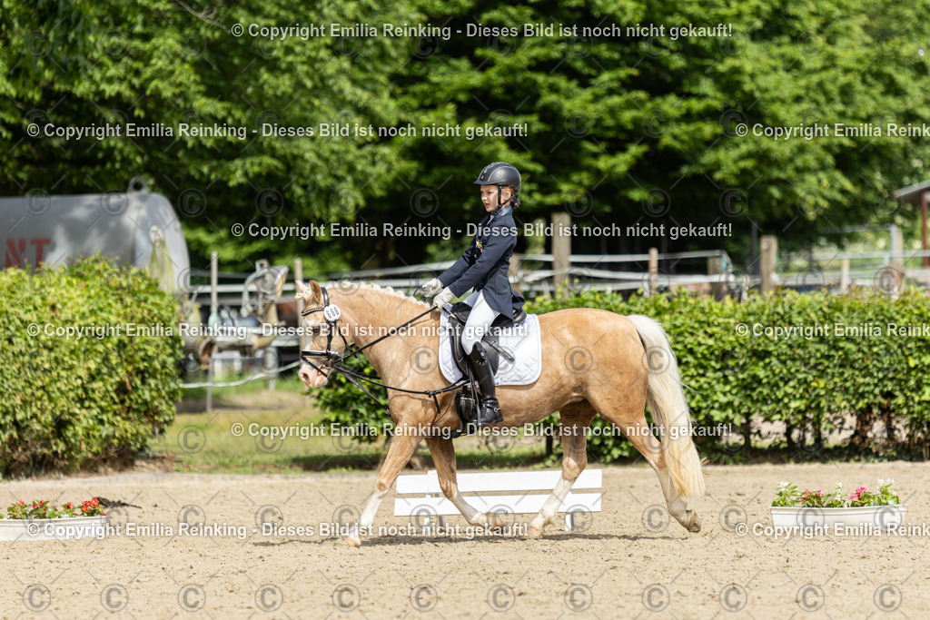 CL5A1305 | Emilia Reinking Fotografie - Realisiert mit Pictrs.com