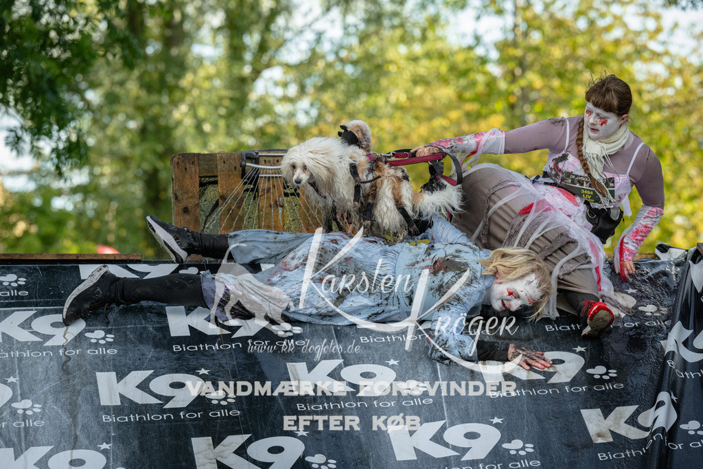 1613_ZZ92126 | kk-dogfotos