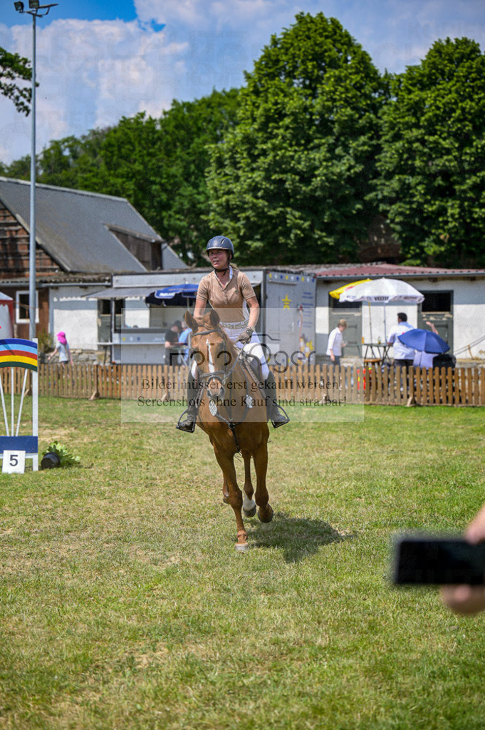 Reitturnier Voxtrup | Entdecke hochwertige Reitturnierfotos von Foto Oger. Professionell, emotional und authentisch – jetzt Lieblingsmomente im Shop bestellen.Deutschlandweite Turnierfotografie. - Realisiert mit Pictrs.com