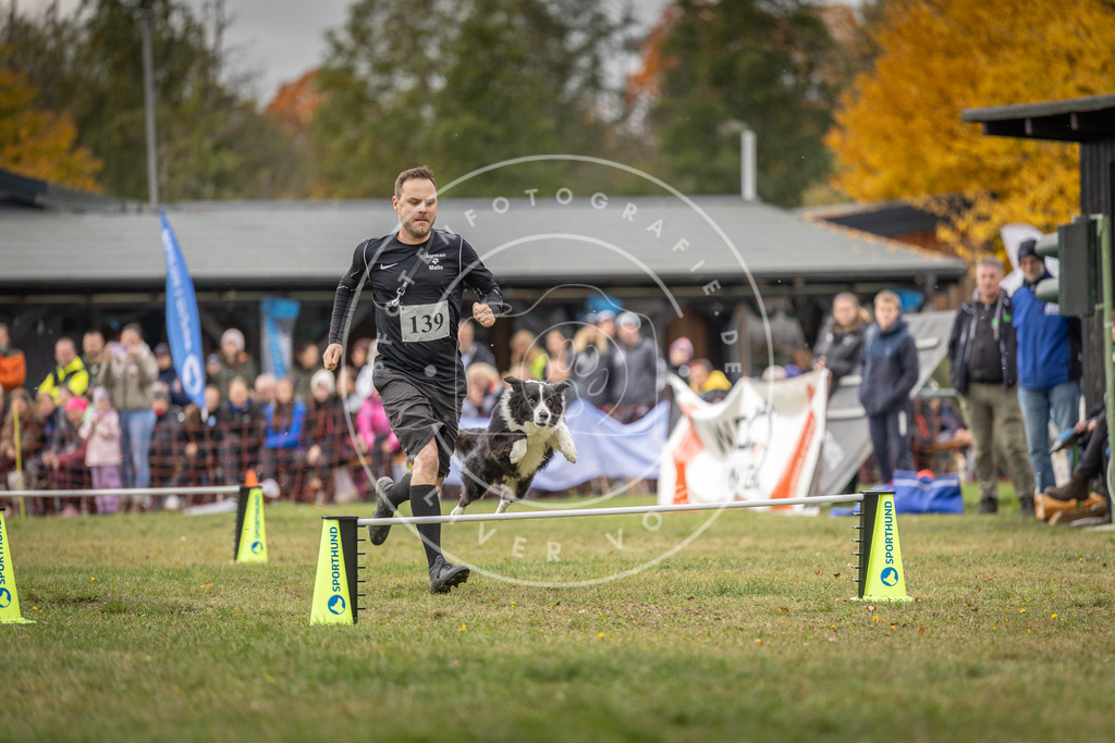 Pfotenfotografie_DV3A7932 | Hundefotografie, Tierfotograf, Pfotenfotografie, Fotoshooting Hund, Hunde Portrait, Hundesport, Hundeportraits, Heideshooting, Hunde, Sportfotograf, Hundefotograf, Turnierhundsport, THS,  - Realisiert mit Pictrs.com