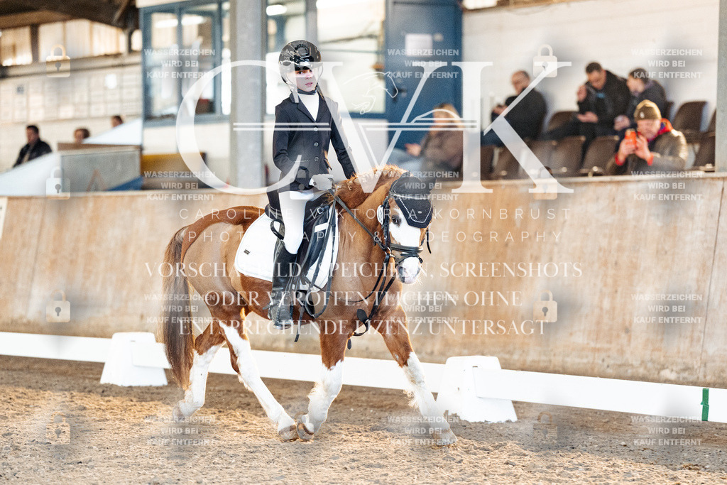 CK907263 | Turnierfotografie Pferdefotografie Trier Rheinland-Pfalz Pferdesport Reitsport Tierfotografie Sportfotografie Pferdevideo Pferdevideografie Equestrianvideography equestrianphotography  - Realisiert mit Pictrs.com