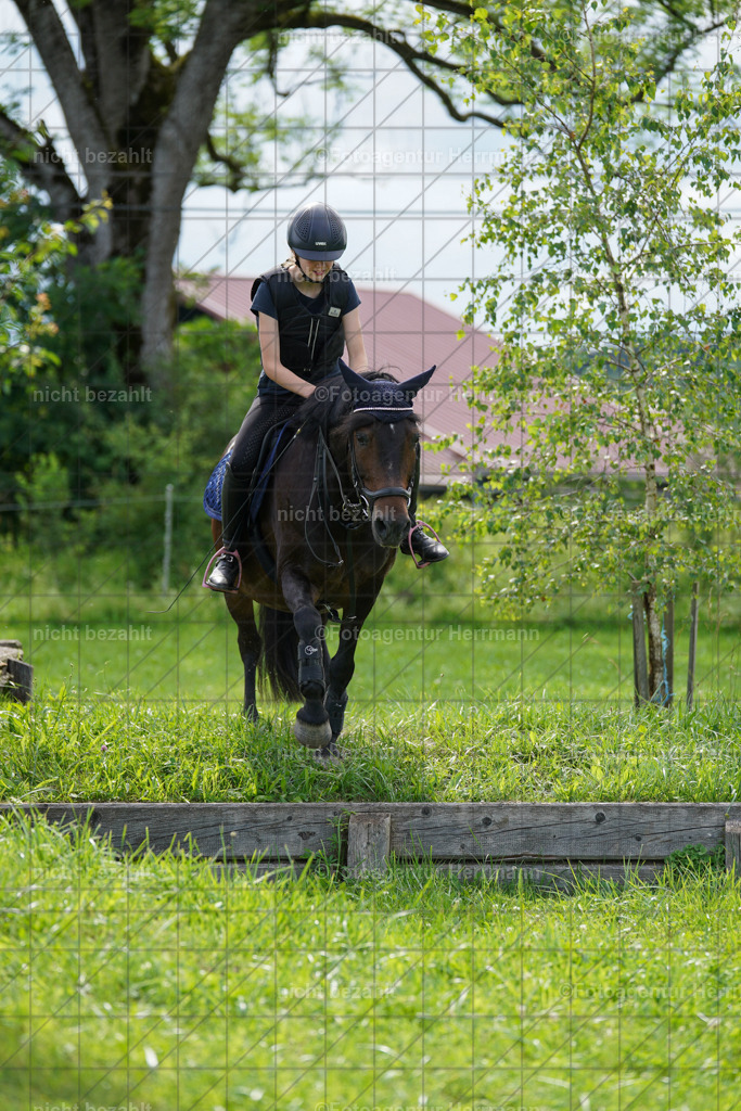 20240622-FAH08000 | Turnierfotografen Bayern, Reitsportbilder aus dem Geländekurs mit Felix Etzel auf dem Gut Waitzacker 2024