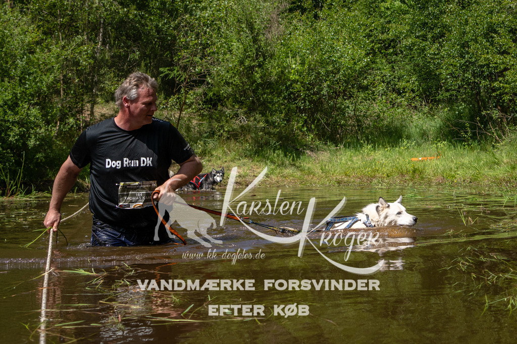 1343DKK990291 | kk-dogfotos