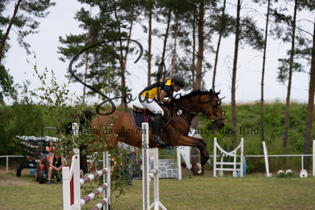 A7V07064 | Pferdefotograf