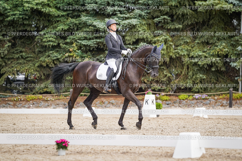 DSC03548 | Pferdegrafie