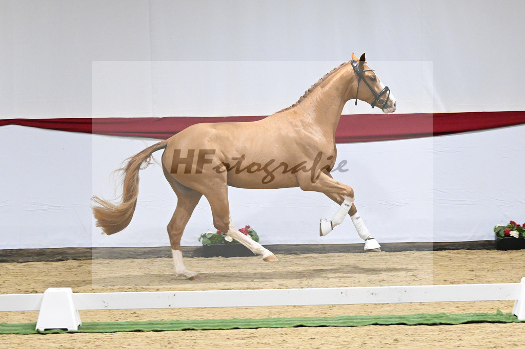 Kat-Nr. 10 v. Fuerst Samarant_Beckmann_63220040 | hf-fotografie - Realizzato con Pictrs.com