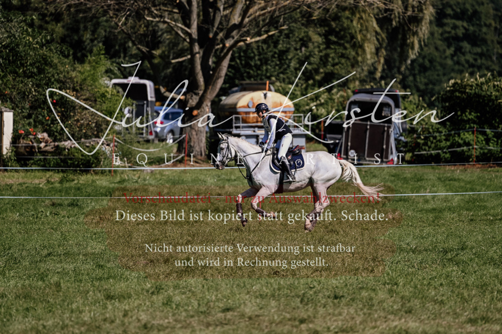 DSC_2029 | Pferde- und Turnierfotografie in Westsachsen. Pferdeportraits, Auftragszeichnungen und intuitive Kunst.