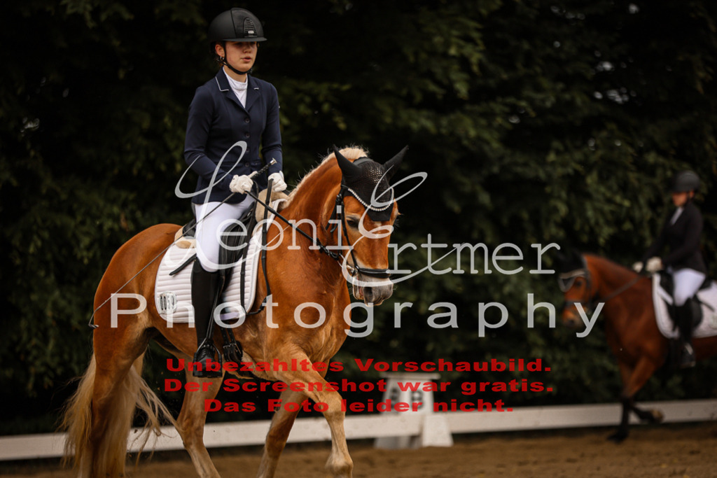 DoDrE00296 | Leoni Ertmer Photography - Realisiert mit Pictrs.com