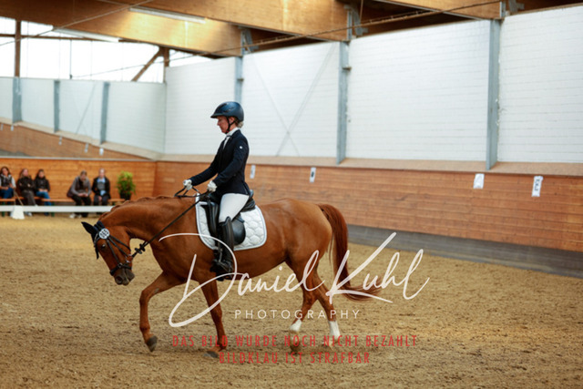 _62_4574 | Turniersportfotografie; Pferdefotografie; Dressurfotografie