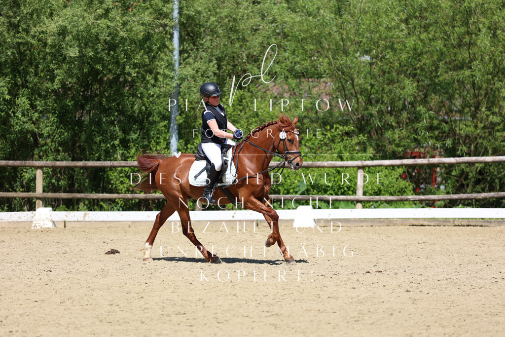 IMGS3314 | pl-fotografie