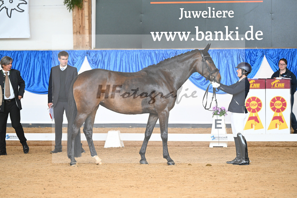 Scherer_Donna Galante_10232129 | hf-fotografie - Realisiert mit Pictrs.com