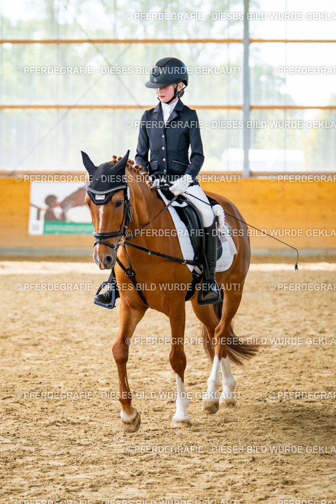 DSC01529 | Pferdegrafie