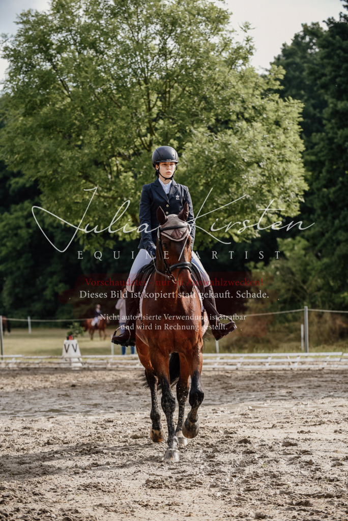 DSC_8615 | Pferde- und Turnierfotografie in Westsachsen. Pferdeportraits, Auftragszeichnungen und intuitive Kunst.