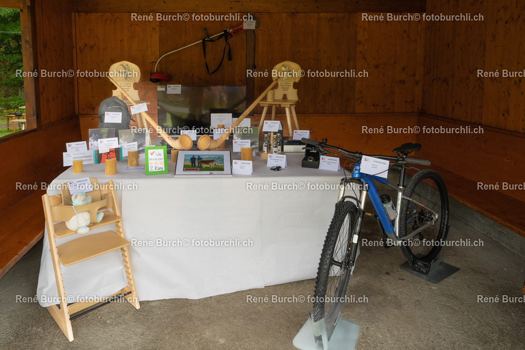 DSC08210-2 | René Burch leidenschaftlicher Fotograf aus Kerns in Obwalden.  Hier finden sie Sport, Landschaft und Natur Fotografie.
 - Realisiert mit Pictrs.com