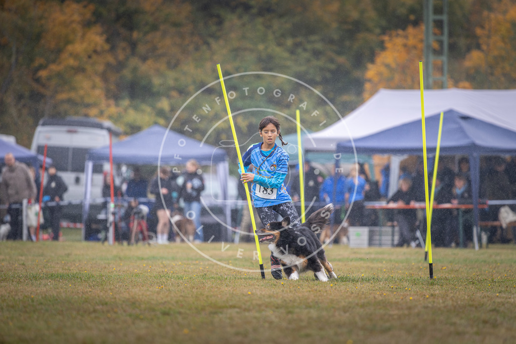 Pfotenfotografie_DV3A9992 | Hundefotografie, Tierfotograf, Pfotenfotografie, Fotoshooting Hund, Hunde Portrait, Hundesport, Hundeportraits, Heideshooting, Hunde, Sportfotograf, Hundefotograf, Turnierhundsport, THS,  - Realisiert mit Pictrs.com