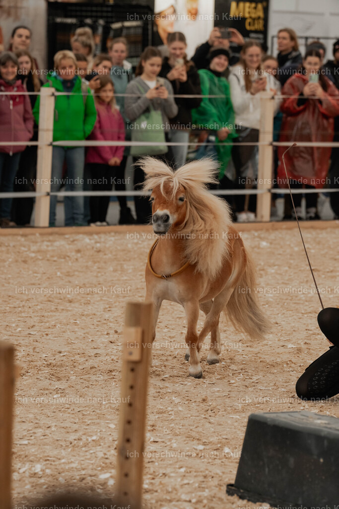 Showprogramm-61 | working equitationturnier fotograf videograf stoibphotography marixx film working equitation deutschland reitsport turnierfotografie eventfotografie equestrian events