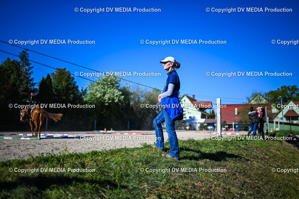 DSC_1656 | dv-media-shop - Realisiert mit Pictrs.com