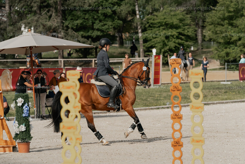 WE_ST_Stoib_337_PI2025_910 | Pferd International München 2025