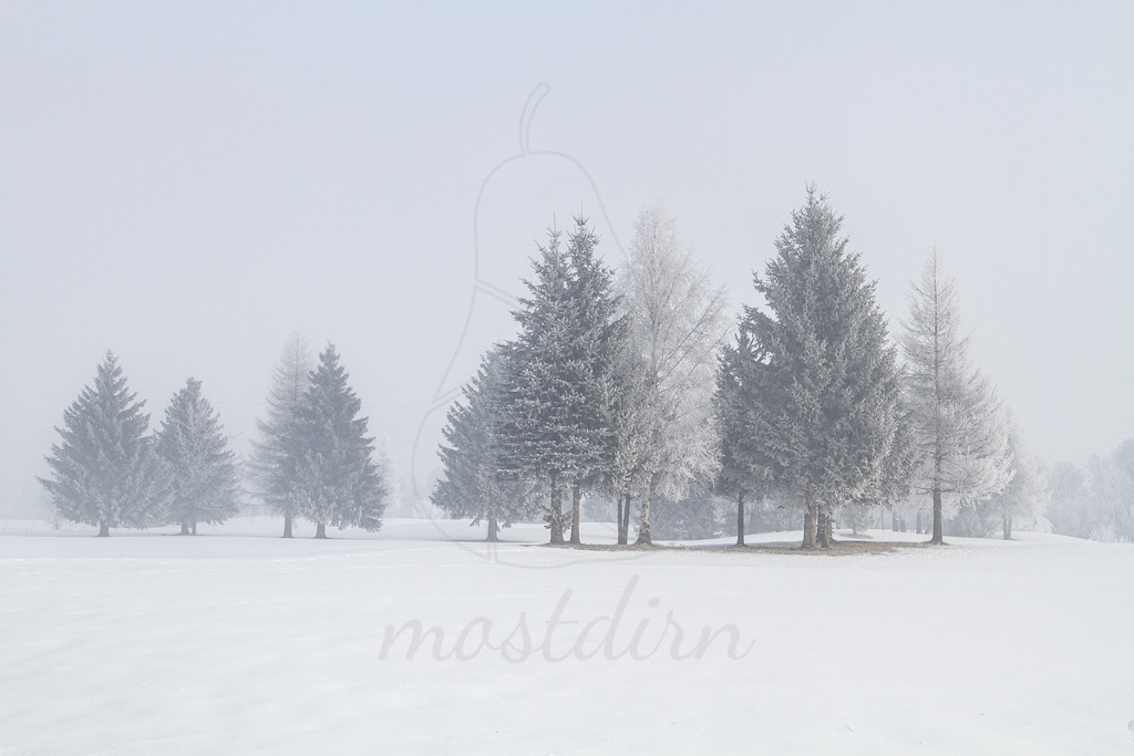 Frozen Lungau | Ihre Fotografin im Lungau, ihre Fotografin im Mostviertel, Wandbilder Onlineshop, Imagefotos für Ihr Unternehmen,  - Realisiert mit Pictrs.com