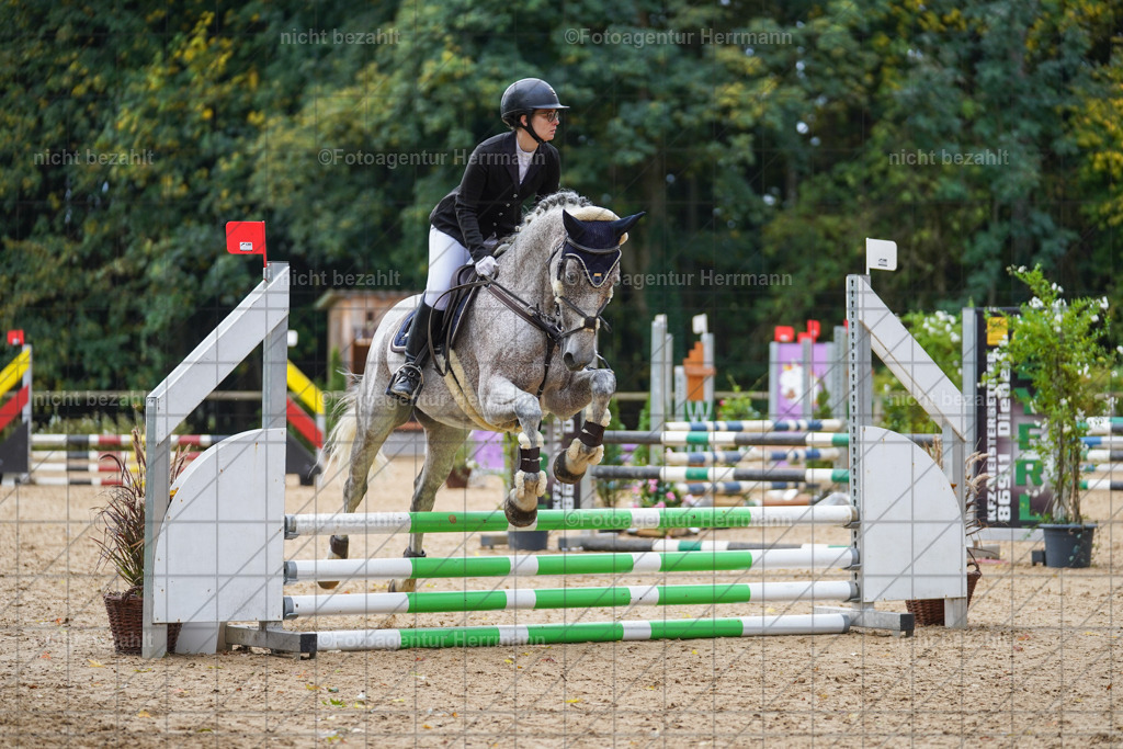 20221009-FAH08335 | Diessen am Ammersee, 2022, Dressur- und Springturnier, Reitsportbilder, Turnierfotografen Bayern, Pferdefotografen, Fotoagentur Herrmann, Turnierbilder