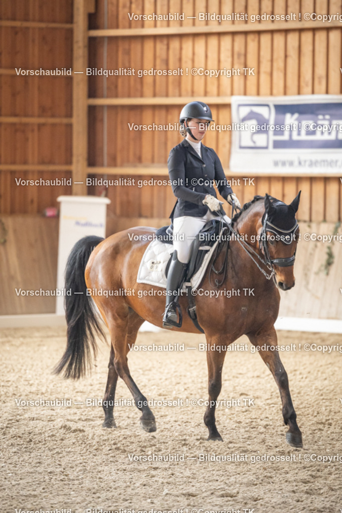 _D5A5996 | Emotionale Pferde- & People-Fotografie rund um Heidelberg, Leimen & Umgebung. Natürliche Fotos von Pferd, Mensch & Familie. Jetzt Termin sichern!