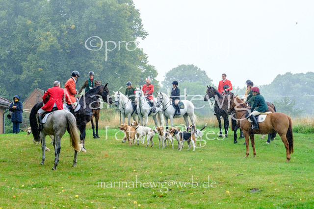 Jagd Kletkamp 26-9505_MarinaHewig | Fotografie, FotoArt, PferdesportArt, Pferdesportfotografie, Landschaftsfotografie, Reisefotografie, Reise, Pferde - Realisiert mit Pictrs.com