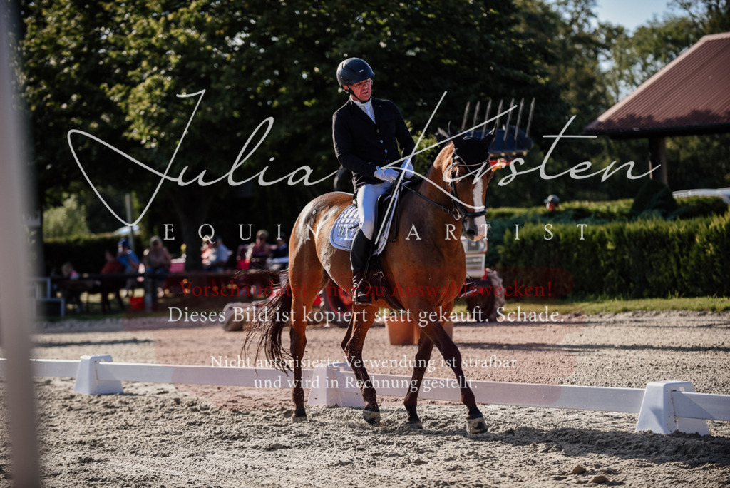 DSC_0595 | Pferde- und Turnierfotografie in Westsachsen. Pferdeportraits, Auftragszeichnungen und intuitive Kunst.