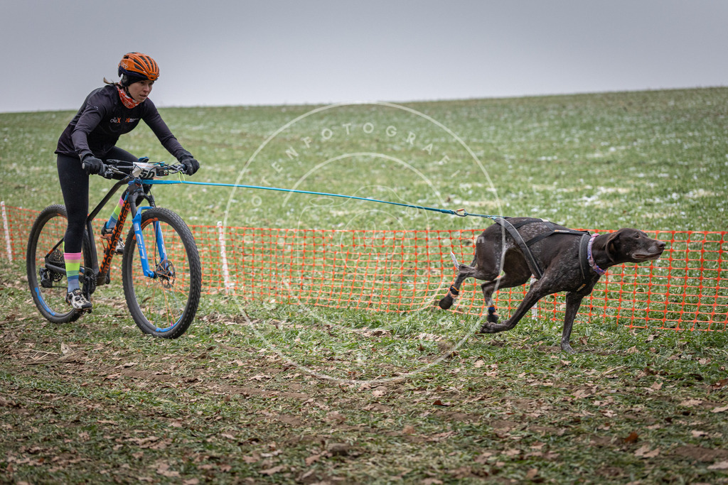 Pfotenfotografie_DV3A1054 | Hundefotografie, Tierfotograf, Pfotenfotografie, Fotoshooting Hund, Hunde Portrait, Hundesport, Hundeportraits, Heideshooting, Hunde, Sportfotograf, Hundefotograf, Turnierhundsport, THS,  - Realisiert mit Pictrs.com