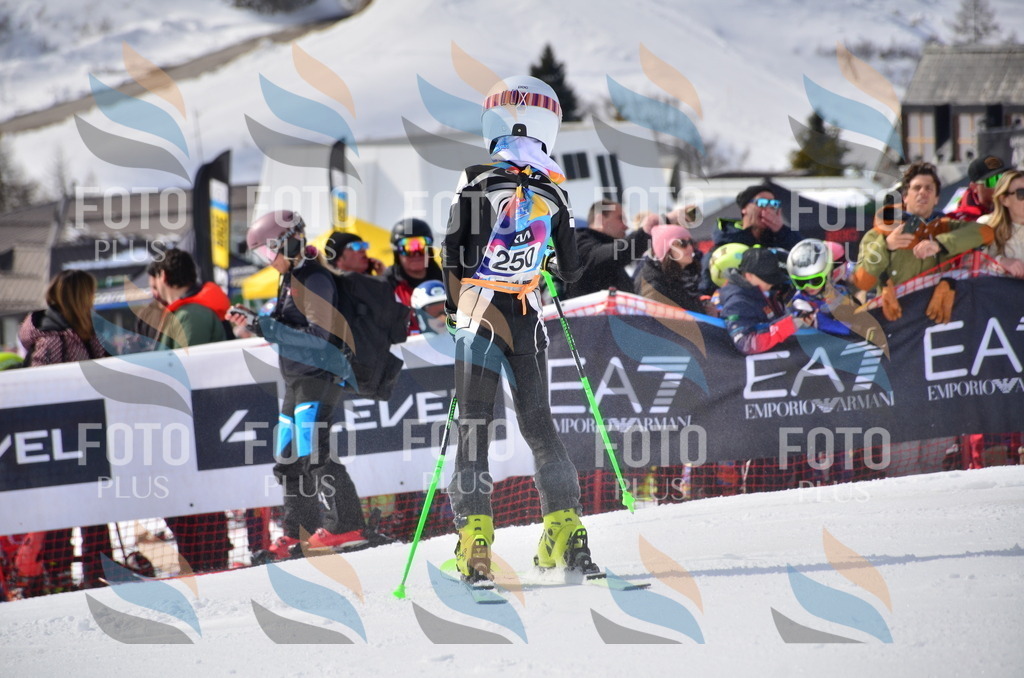 VR4_7521 | holidayphoto