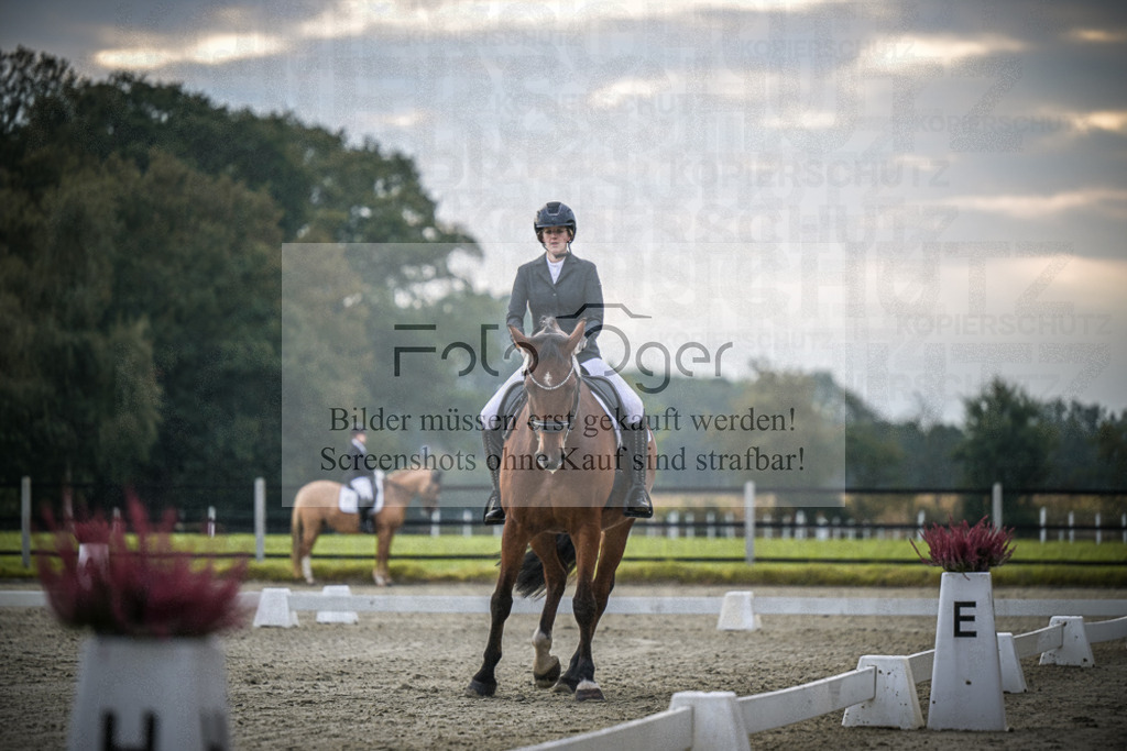DOS_1822 | Entdecke hochwertige Reitturnierfotos von Foto Oger. Professionell, emotional und authentisch – jetzt Lieblingsmomente im Shop bestellen.Deutschlandweite Turnierfotografie. - Realisiert mit Pictrs.com