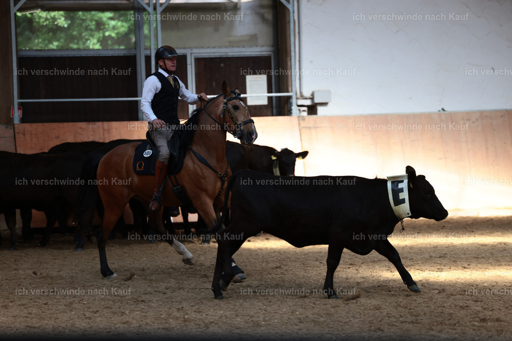 Masterclass_stoibphotography_C2_L7114.JPG | working equitationturnier fotograf videograf stoibphotography marixx film working equitation deutschland reitsport turnierfotografie eventfotografie equestrian events
