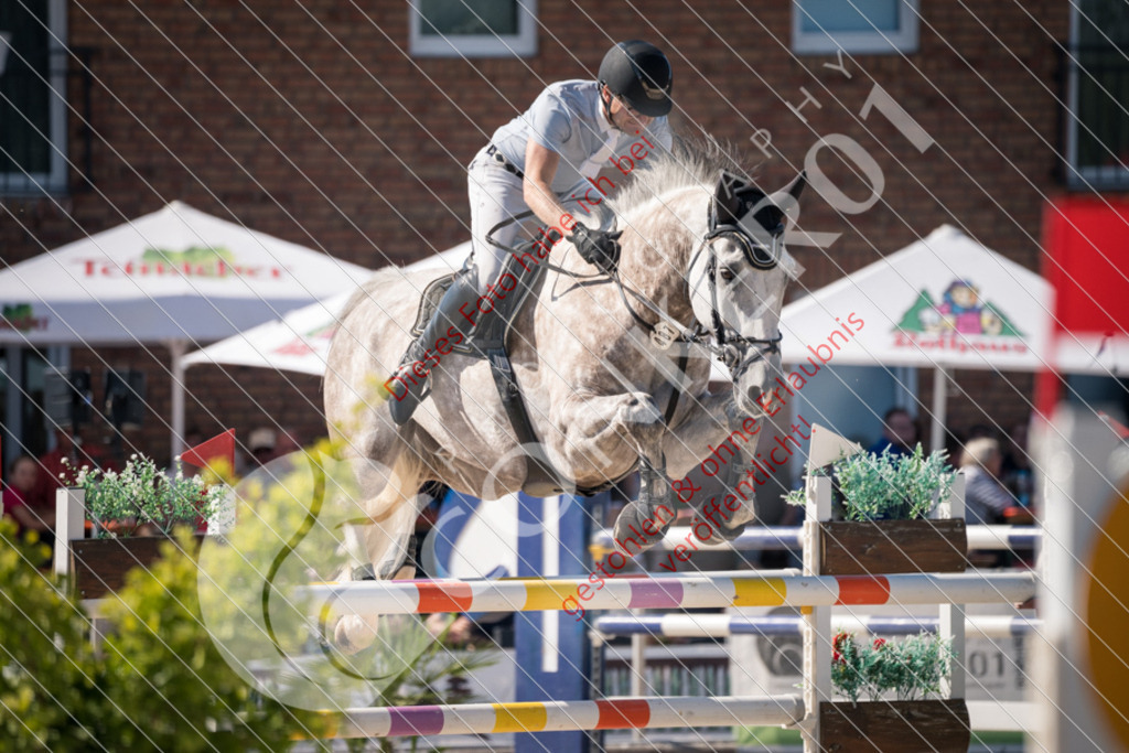 DSC_3500 | Sport-, Event- und Tierfotos in Profiqualität. Einfach auswählen, bestellen und herunterladen. Dein Moment – perfekt festgehalten.