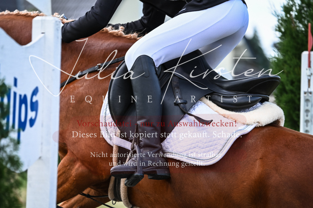 DSC_8091 | Pferde- und Turnierfotografie in Westsachsen. Pferdeportraits, Auftragszeichnungen und intuitive Kunst.