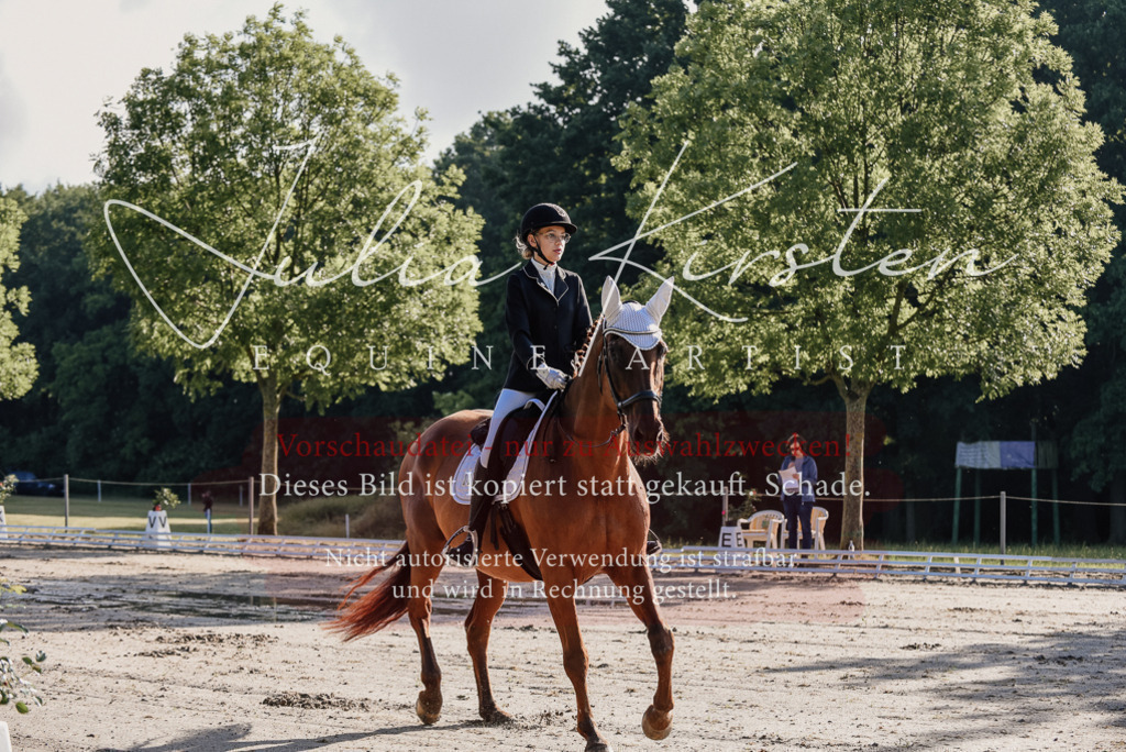 DSC_7694 | Pferde- und Turnierfotografie in Westsachsen. Pferdeportraits, Auftragszeichnungen und intuitive Kunst.