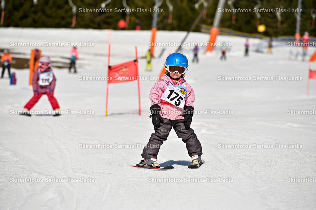 SRF_13.03.2026_177 | SRF_13.03.2026_177 - Realisiert mit Pictrs.com