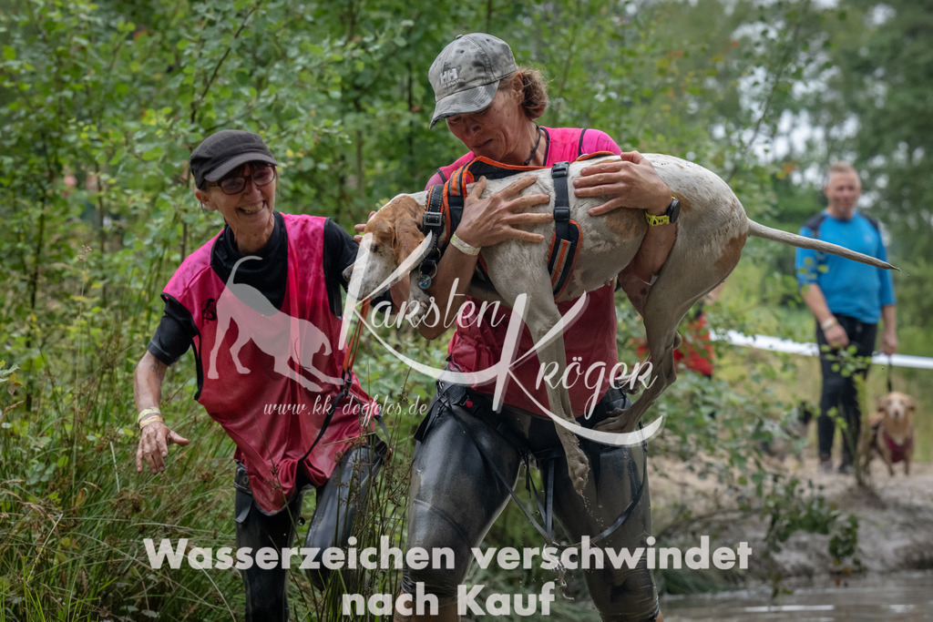 1341_ZZ91825 | kk-dogfotos