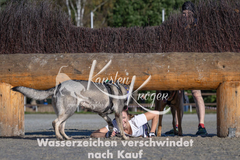 1048-_ZZ92762 | kk-dogfotos