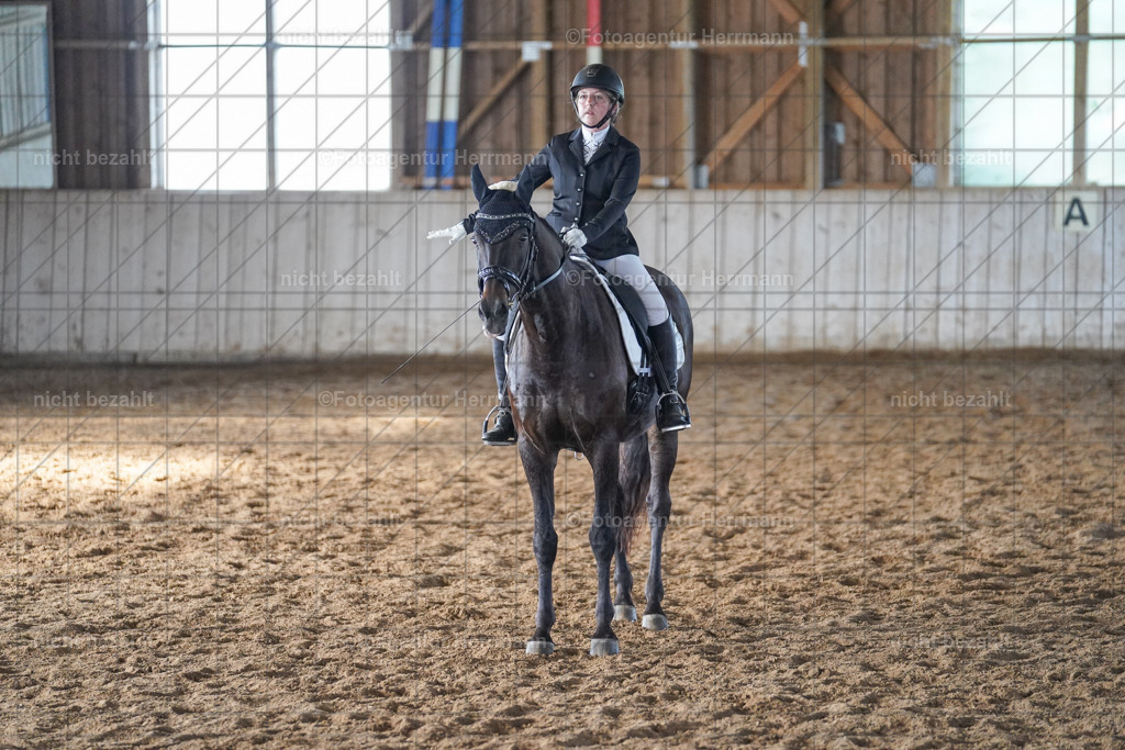 20230917-FAH09895 | Landsberg am Lech, 2023, Kaufbeuren, Kempten, Allgäu, Turnierfotografen Bayern, Fotoagentur Herrmann, Turnierbilder, Reitsport Fotos, Pferdefotograf, Augsburg, Bad Tölz, Dachau, Karlsfeld, Memmingen, Buchloe, Schwabmünchen