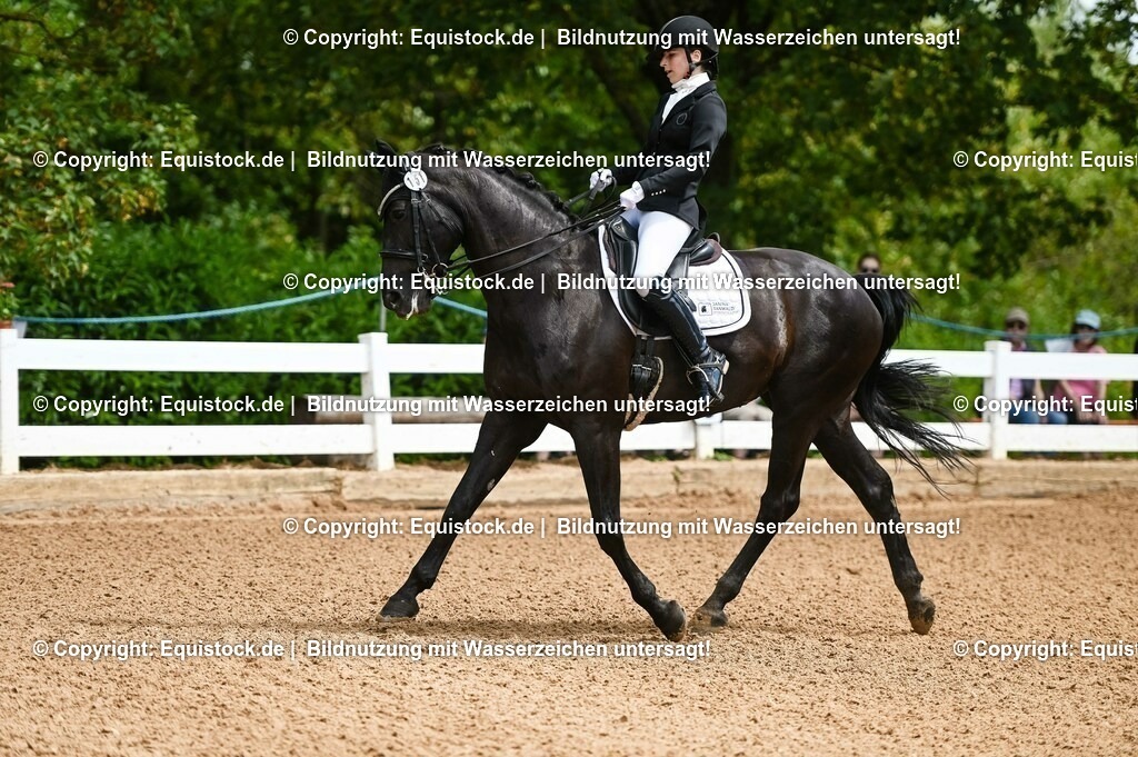 20230716_01_Dressurprüfung Kl.M_0010 | equistock