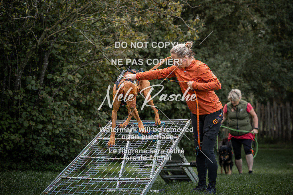 nelerasche_SoLauf_10 | nelerasche