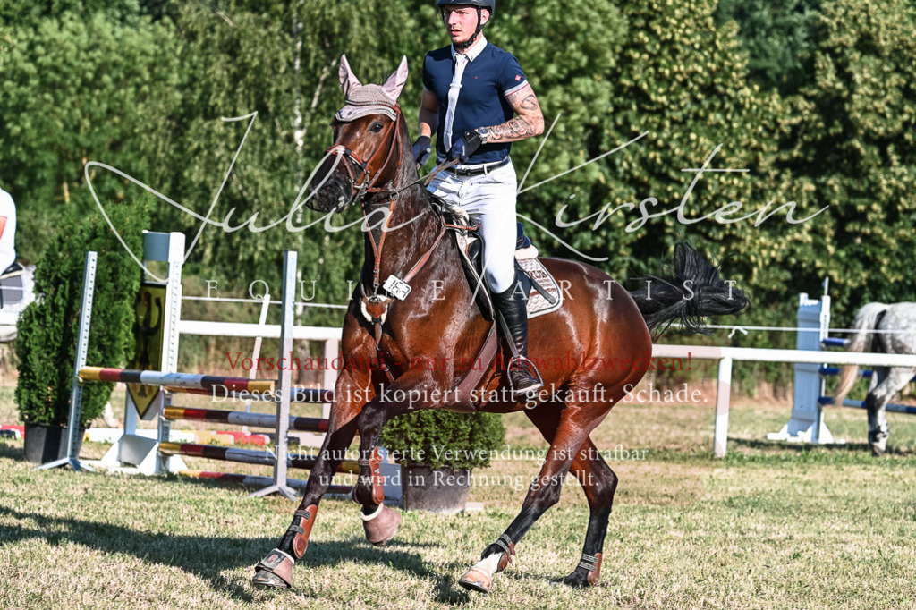 DSC_2941 | Pferde- und Turnierfotografie in Westsachsen. Pferdeportraits, Auftragszeichnungen und intuitive Kunst.