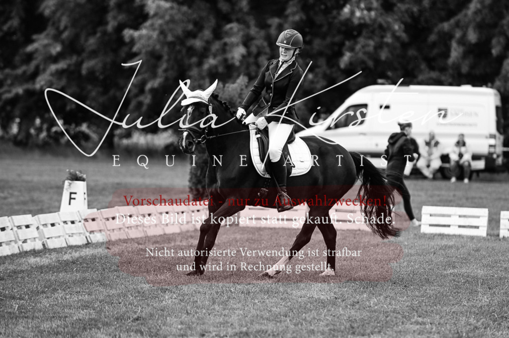 DSC_4833 | Pferde- und Turnierfotografie in Westsachsen. Pferdeportraits, Auftragszeichnungen und intuitive Kunst.