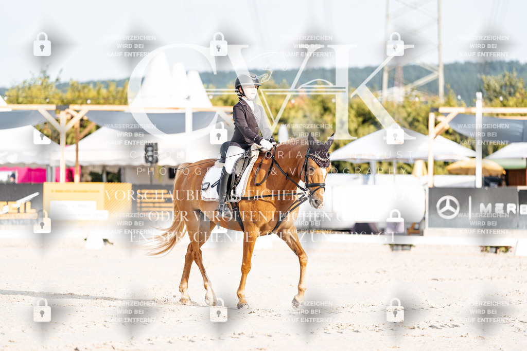 CK903623 | Turnierfotografie Pferdefotografie Trier Rheinland-Pfalz Pferdesport Reitsport Tierfotografie Sportfotografie Pferdevideo Pferdevideografie Equestrianvideography equestrianphotography  - Realisiert mit Pictrs.com