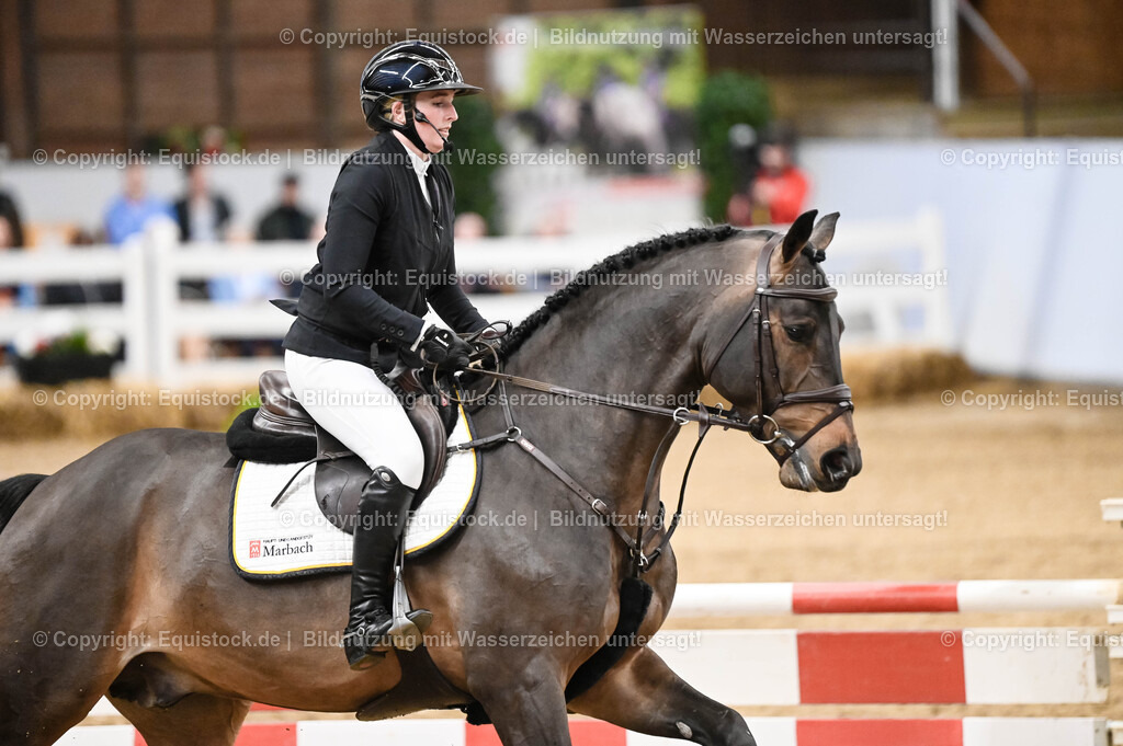 20260307_Hengstvorstellung-Marbach_0118 | equistock