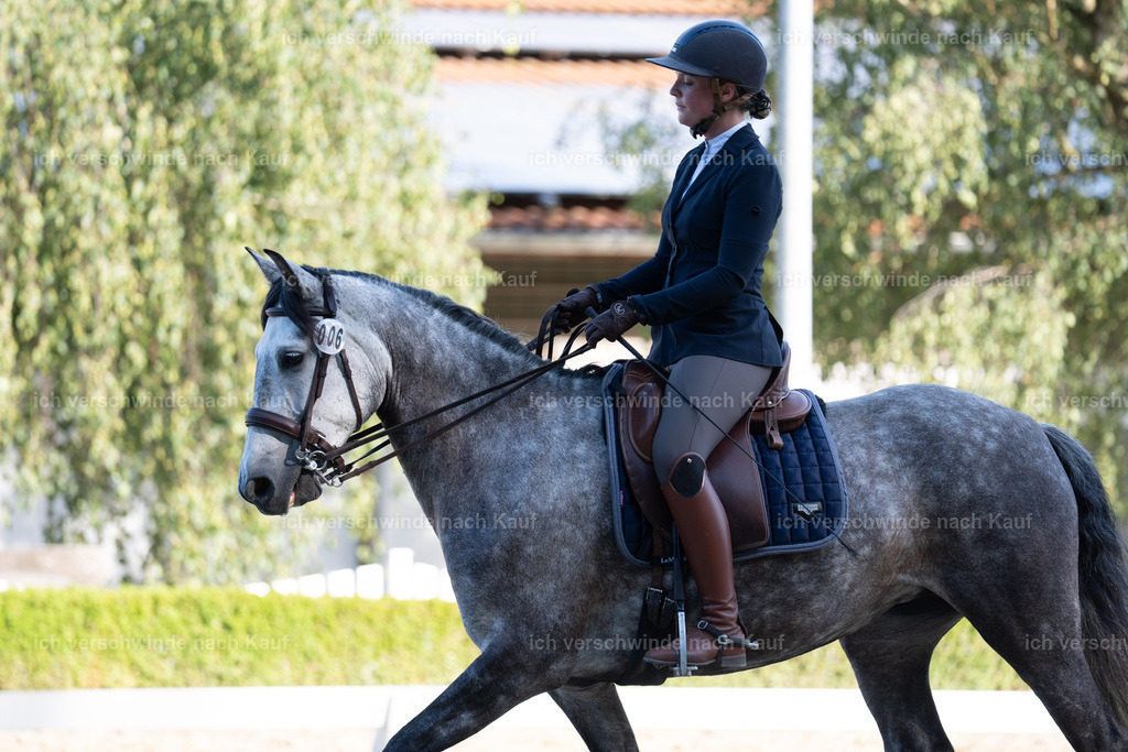 WL_DR_6_sinafilmart_IN05784 | working equitationturnier fotograf videograf stoibphotography marixx film working equitation deutschland reitsport turnierfotografie eventfotografie equestrian events