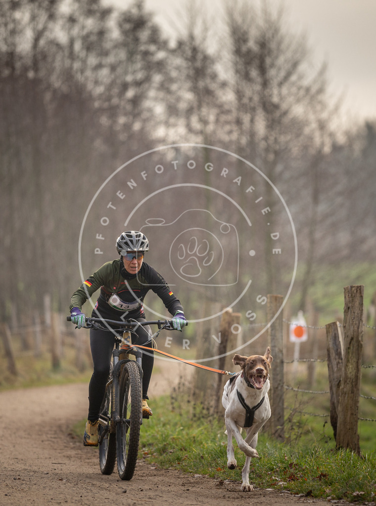 Pfotenfotografie_DV3A1797 | Hundefotografie, Tierfotograf, Pfotenfotografie, Fotoshooting Hund, Hunde Portrait, Hundesport, Hundeportraits, Heideshooting, Hunde, Sportfotograf, Hundefotograf, Turnierhundsport, THS,  - Realisiert mit Pictrs.com