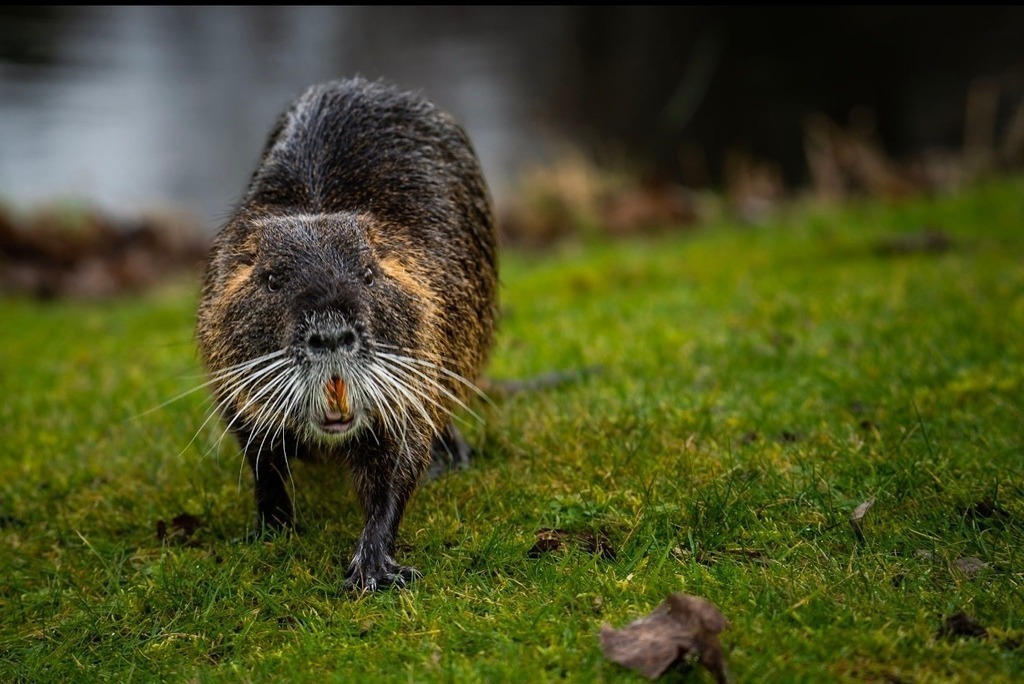 8FF4E697-A277-4246-A11B-F6ED27B81A45 | <meta name="keywords" content="Bergbilder, Hochzeitsfotografie, Actionshootings, Fotografiearbeiten, Berglandschaften, Naturfotografie">

 - Realisiert mit Pictrs.com