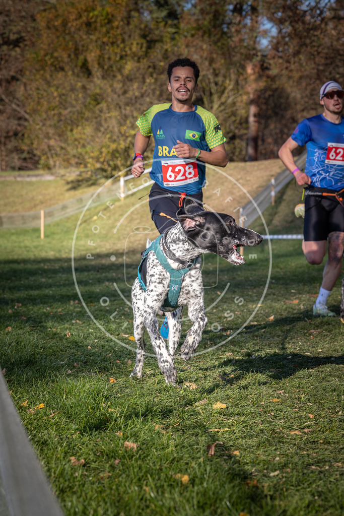 CaniXpix_0L8A8853 | Hundefotografie, Tierfotograf, Pfotenfotografie, Fotoshooting Hund, Hunde Portrait, Hundesport, Hundeportraits, Heideshooting, Hunde, Sportfotograf, Hundefotograf, Turnierhundsport, THS,  - Realisiert mit Pictrs.com
