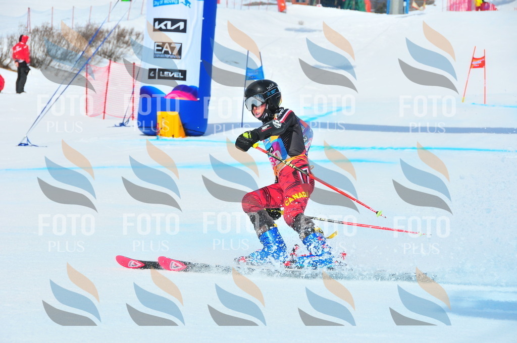 DSC_5921 | holidayphoto